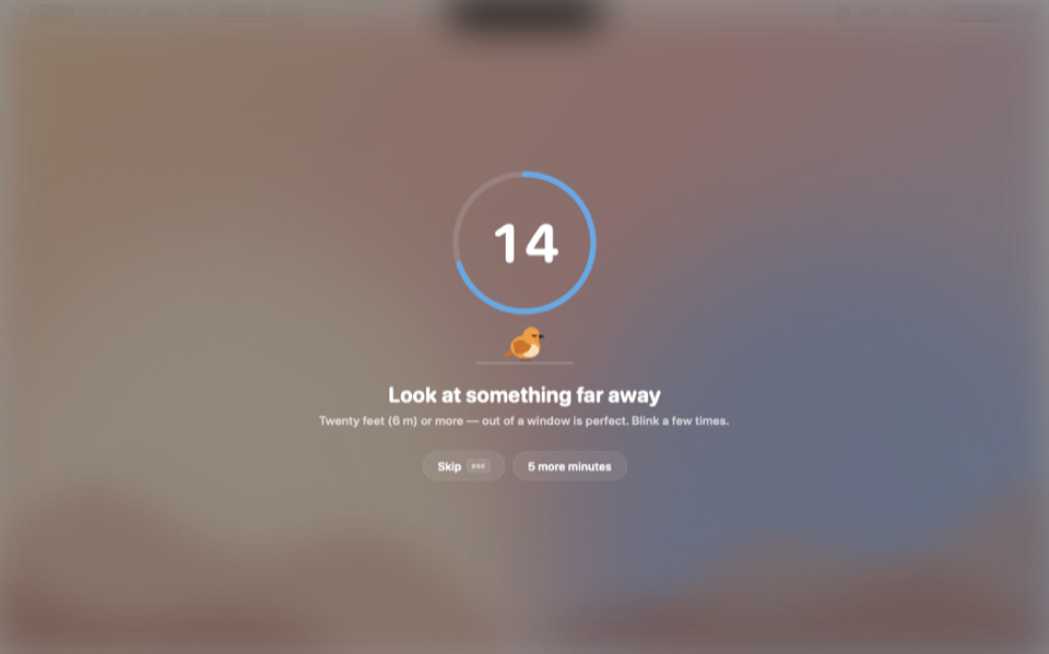 An eye break: a 20-second countdown ring over a blurred desktop, with the bird asleep